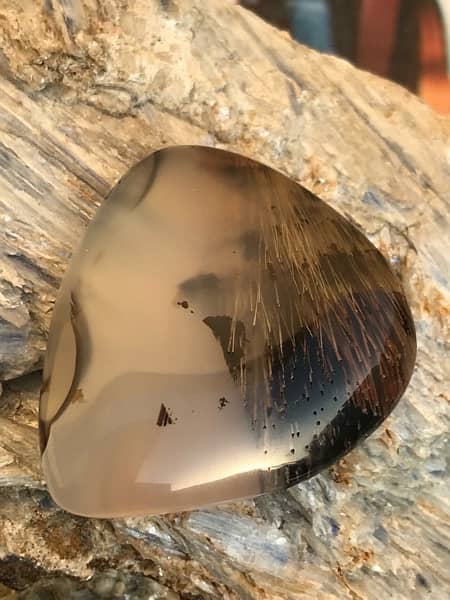 antique hairy dendritic agate gemstone 5