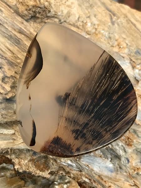 antique hairy dendritic agate gemstone 11