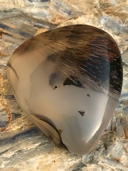 antique hairy dendritic agate gemstone 12