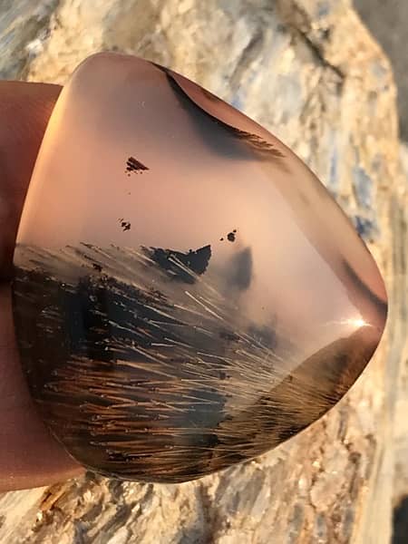 antique hairy dendritic agate gemstone 13