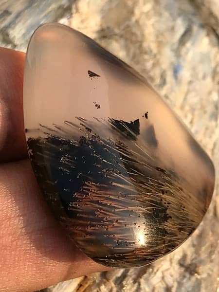 antique hairy dendritic agate gemstone 16