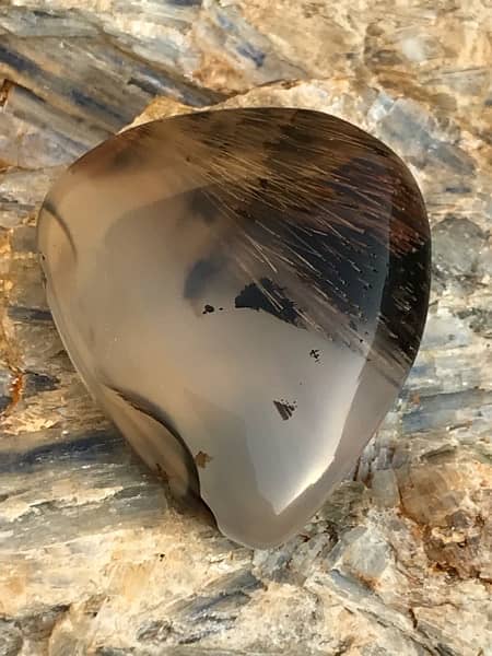 antique hairy dendritic agate gemstone 17