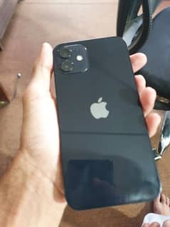 iPhone 12