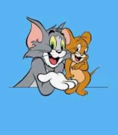 tom and jerry colour  cats available