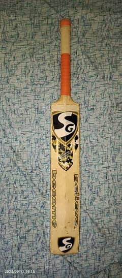 Cricket Hard ball bat