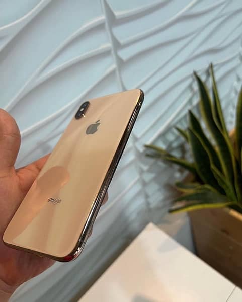 xs max NoN pta 2