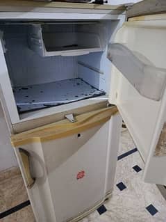 PEL Refrigerator for Urgent sell