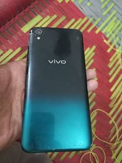 Vivo