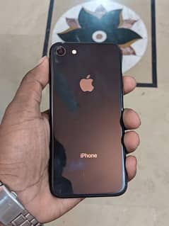 IPhone 8 Pta approved