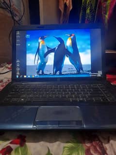 HP LAPTOP FOR URGENT SALE 0