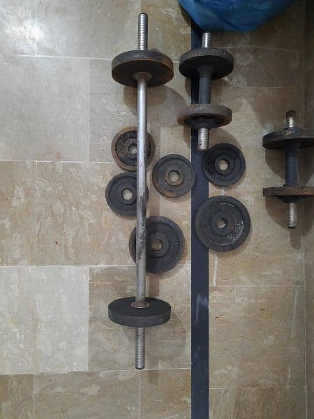 weight plates and Dumbleton rod 0