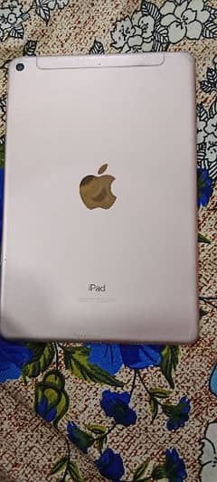 Ipad Mini 5 64 GB 0