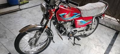 Honda CG 125 Red  All Punjab number