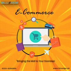 E-commerce Website Development Solution - Sales and Marketing