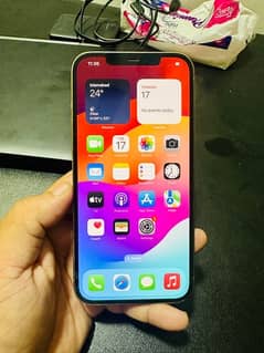 Iphone 12 pro max PTA Approved 0