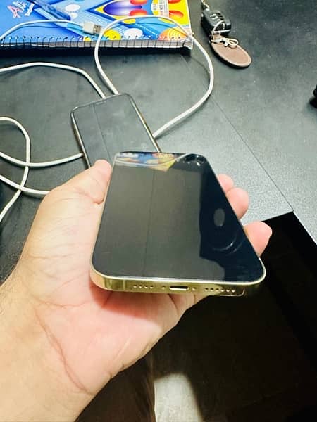 Iphone 12 pro max PTA Approved 15