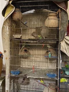 2 Cages for Sale