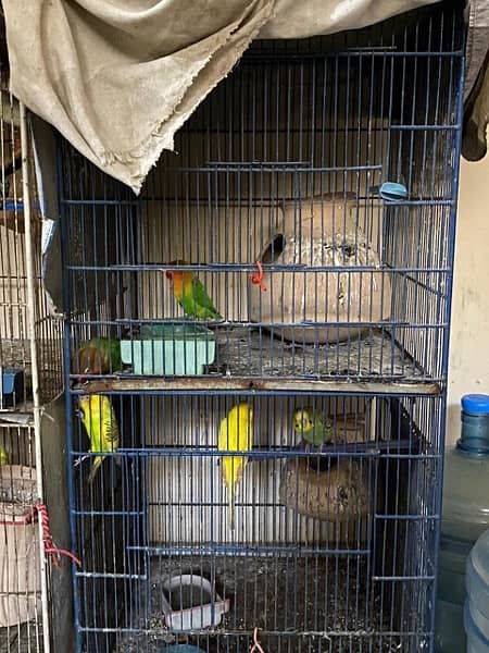 2 Cages for Sale 1