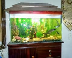 Complete Fish Aquarium with fish