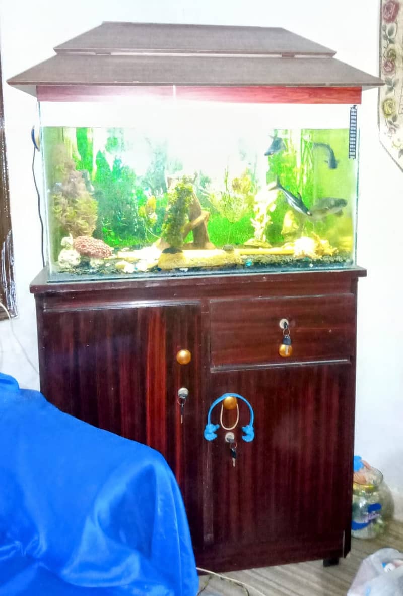 Complete Fish Aquarium with fish 8