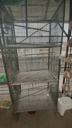 10 portion folding  cage and colony folding cages