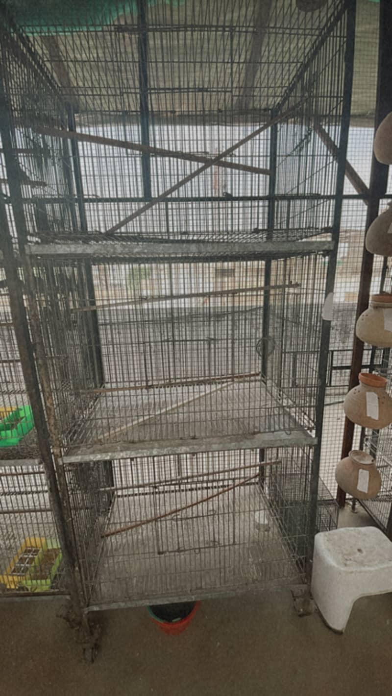 10 portion folding  cage and colony folding cages 0