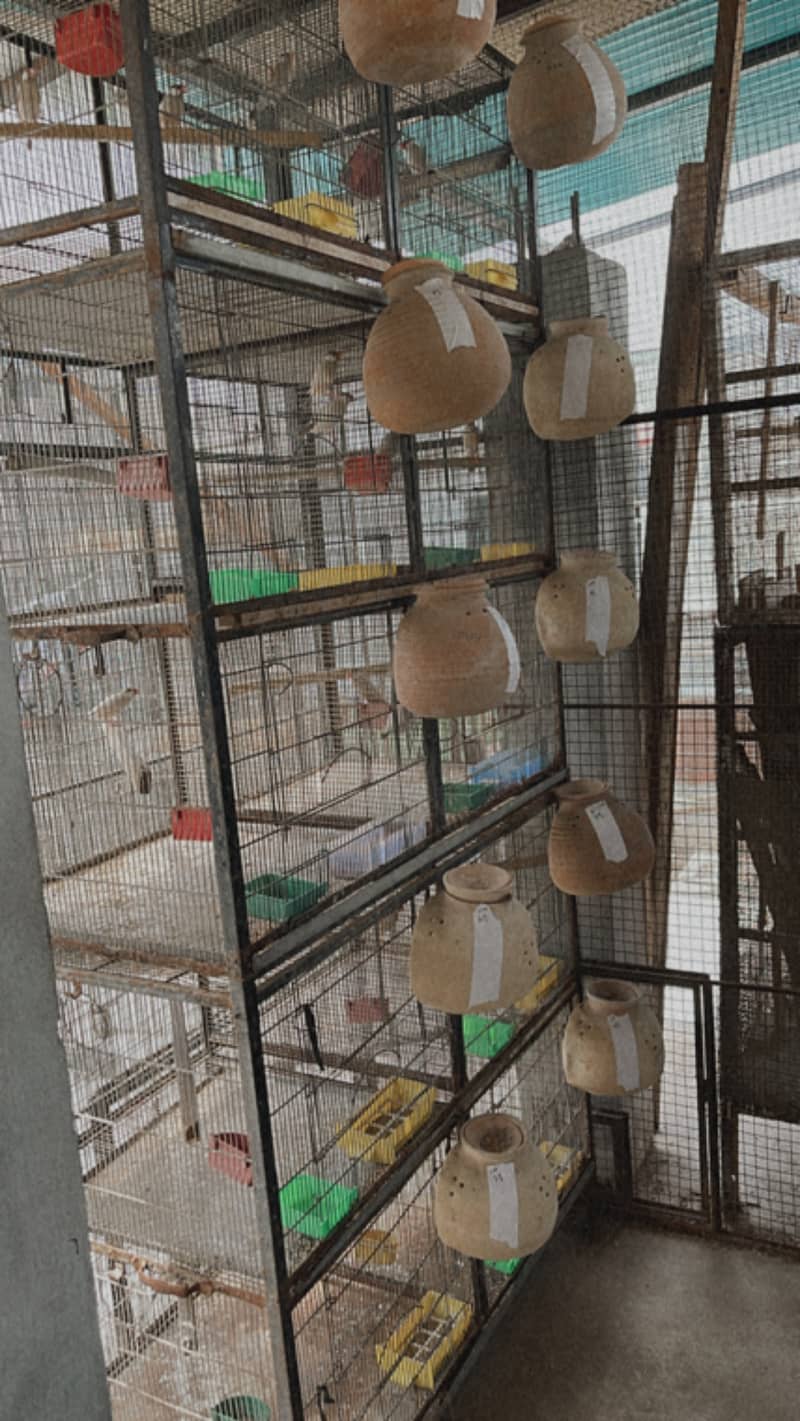 10 portion folding  cage and colony folding cages 2