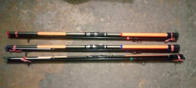 Diawa sensor 13ft fishing rod