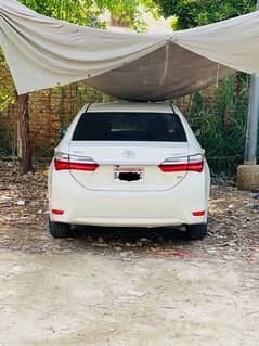 Corolla GLI 2019 btb