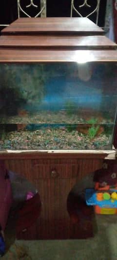 fish tank