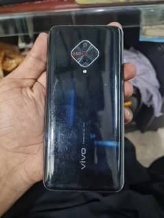 vivo