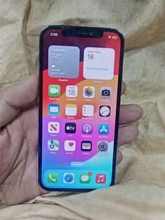 i phone 12 pro 256 gb pta approved