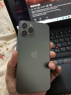 iphone 12 pro max pta approved