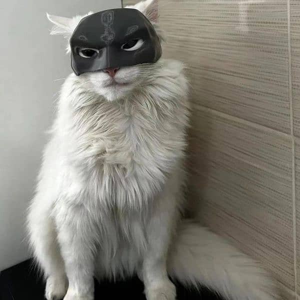 Cat Batman Mask 0