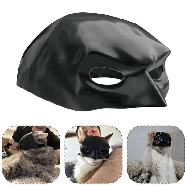 Cat Batman Mask 2