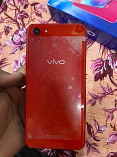 vivo