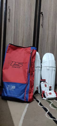 Cricket Pad, Gloves, and Bag