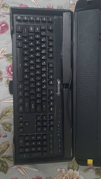 corsair k55 0