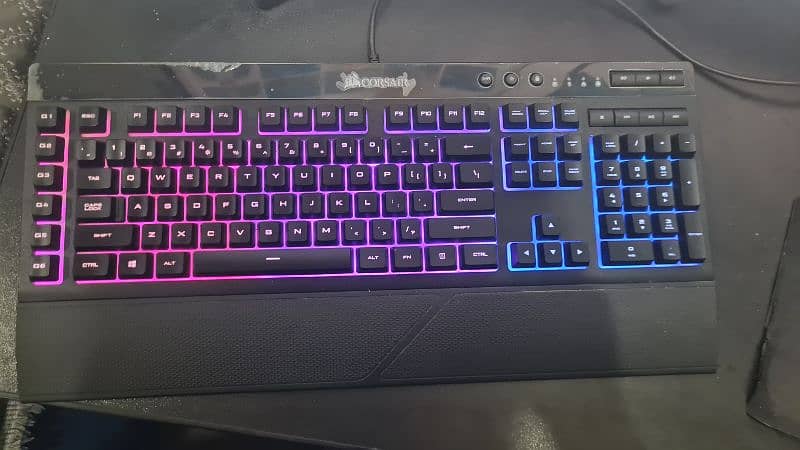 corsair k55 2