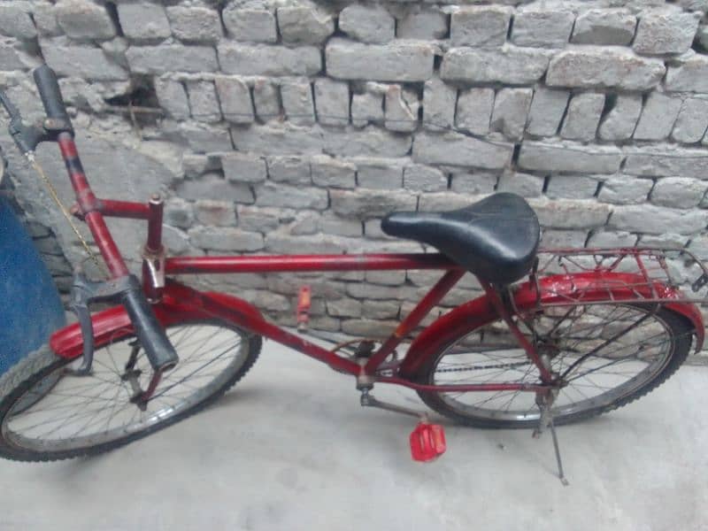 Poniex Bicycle 2