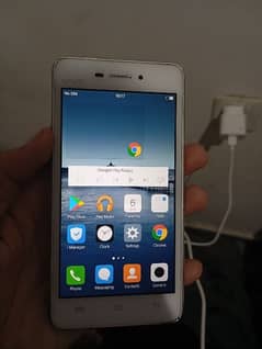 vivo y31