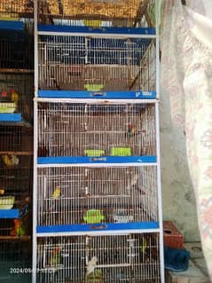 1 cage 5 portion and 4portion cage for sale  ALI cage walo ka hai