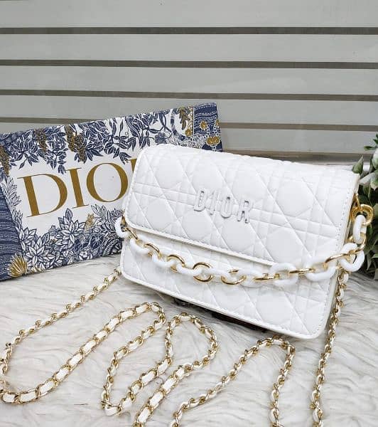 dior imported beg 0