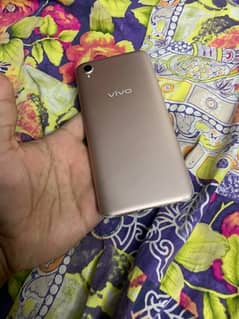 vivo