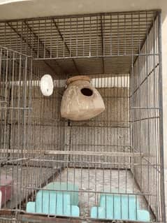 Cage for sale