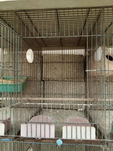 Cage for sale 1