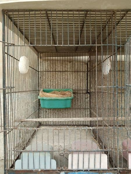 Cage for sale 2