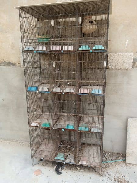 Cage for sale 3