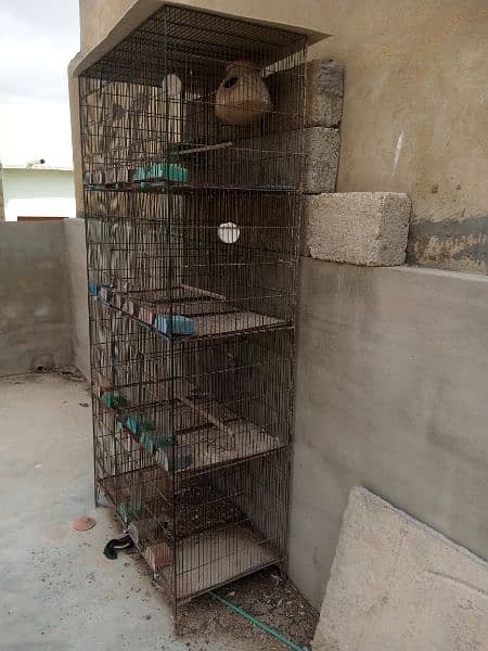 Cage for sale 4