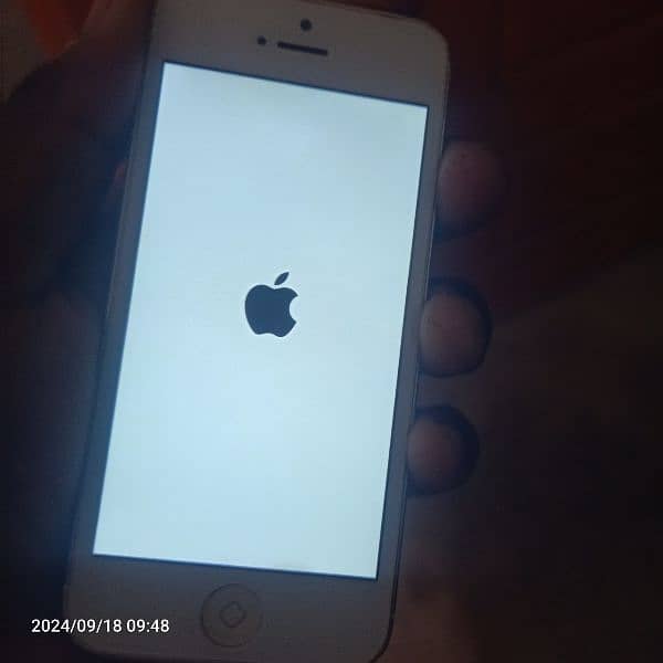 iphone 5 pta 1